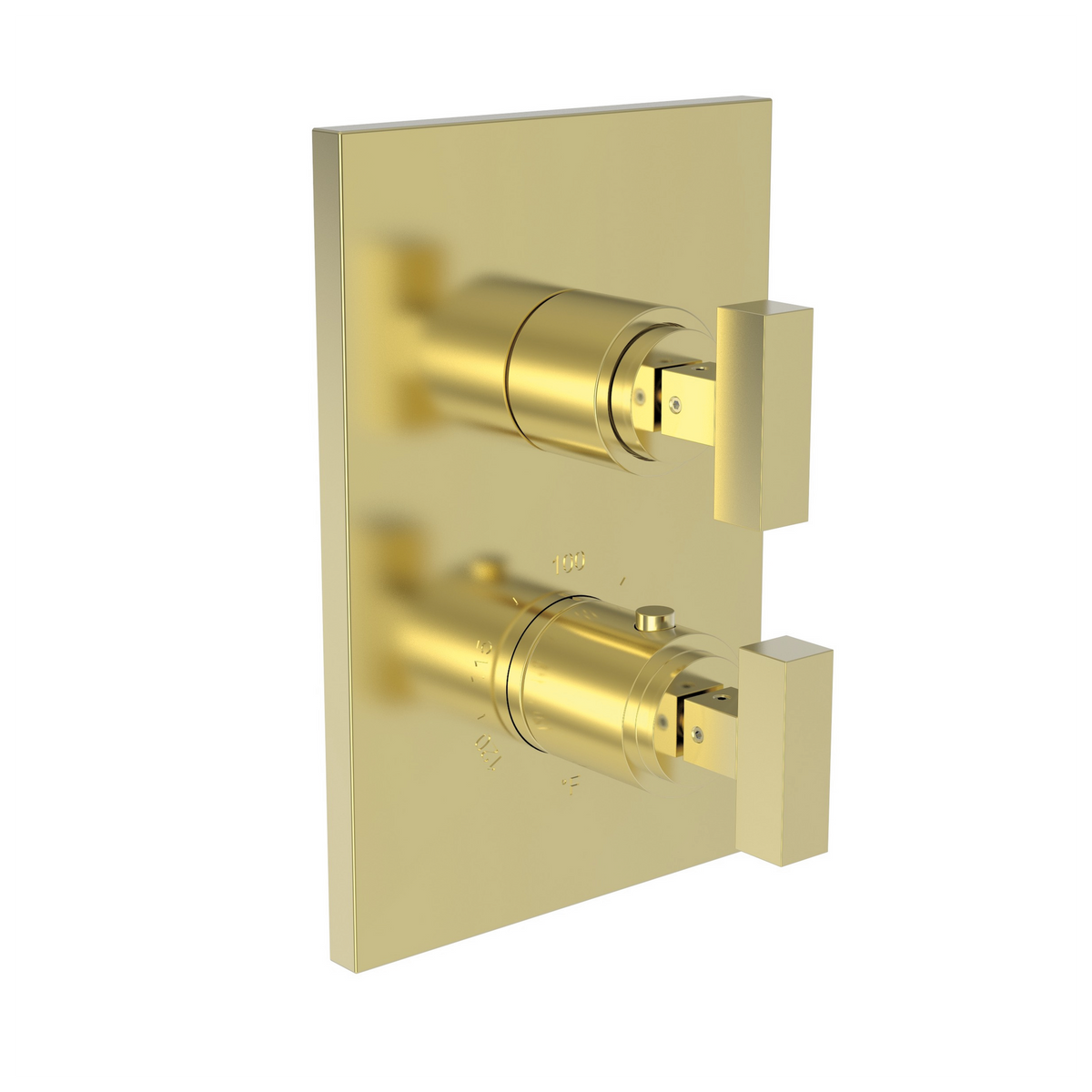 Newport Brass Skylar 1/2 inch Square Thermostatic Trim Plate with Two Handles