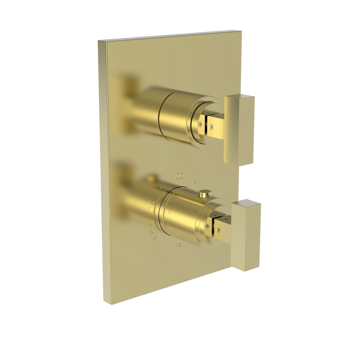 Newport Brass Skylar 1/2 inch Square Thermostatic Trim Plate with Two Handles