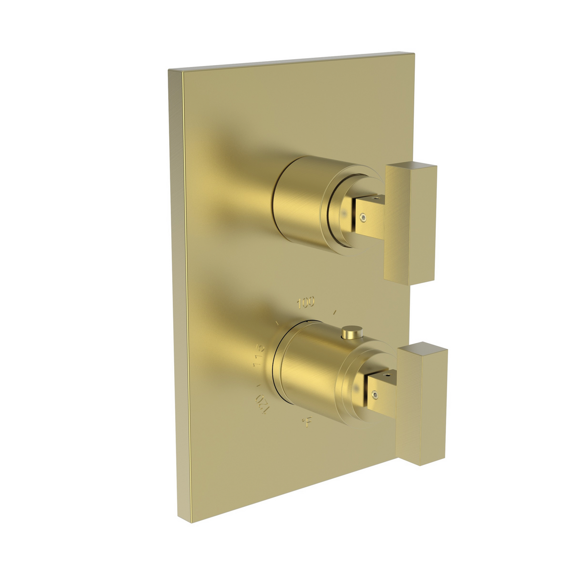 Newport Brass Skylar 1/2 inch Square Thermostatic Trim Plate with Two Handles