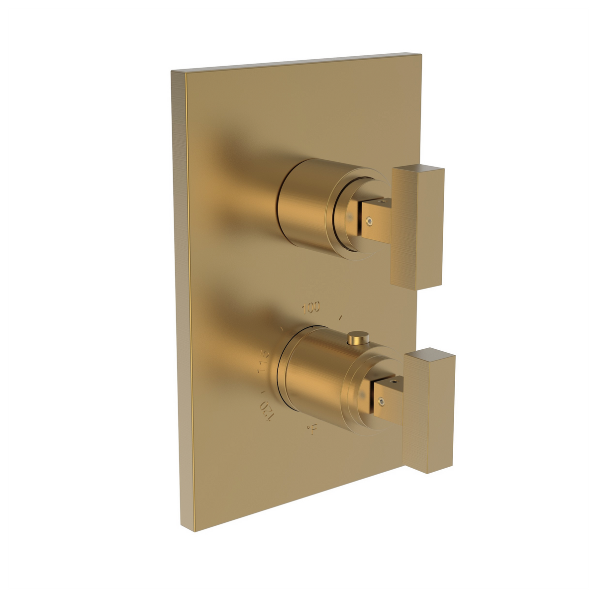 Newport Brass Skylar 1/2 inch Square Thermostatic Trim Plate with Two Handles