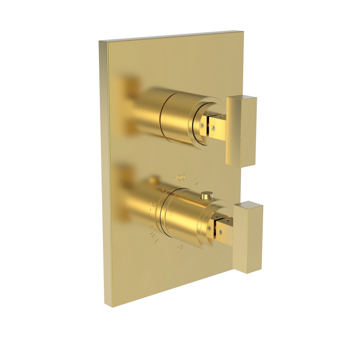 Newport Brass Skylar 1/2 inch Square Thermostatic Trim Plate with Two Handles