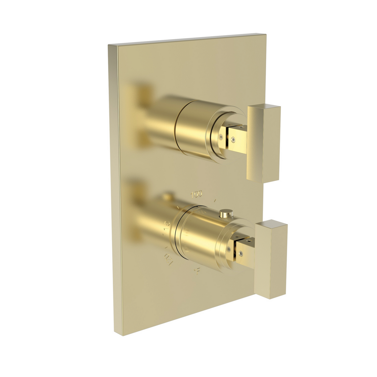 Newport Brass Skylar 1/2 inch Square Thermostatic Trim Plate with Two Handles