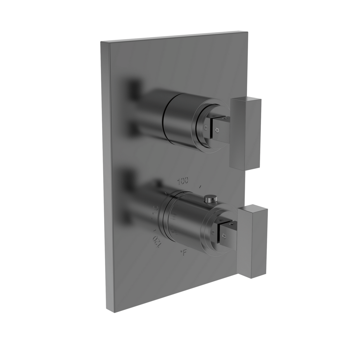 Newport Brass Skylar 1/2 inch Square Thermostatic Trim Plate with Two Handles