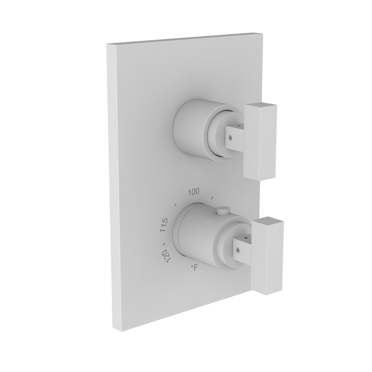 Newport Brass Skylar 1/2 inch Square Thermostatic Trim Plate with Two Handles