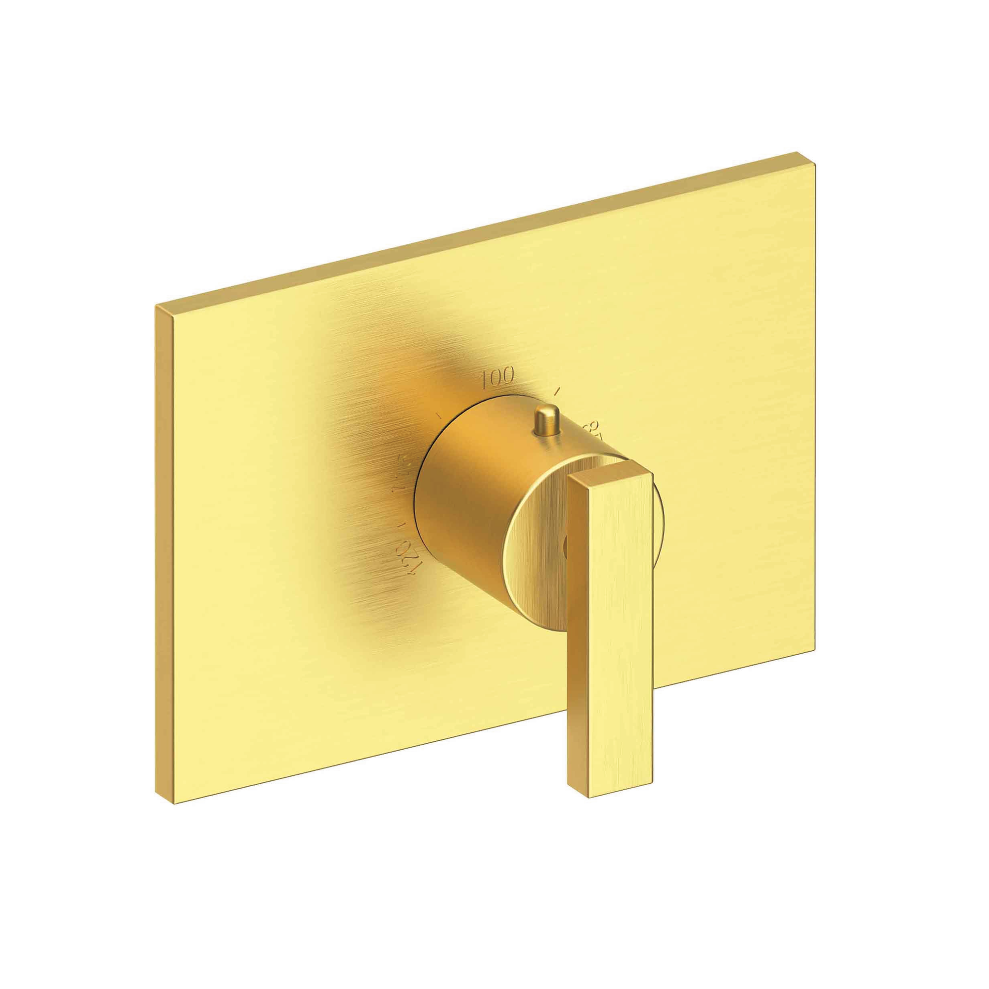 Newport Brass Secant 3/4 inch Square Thermostatic Trim Plate with Handle