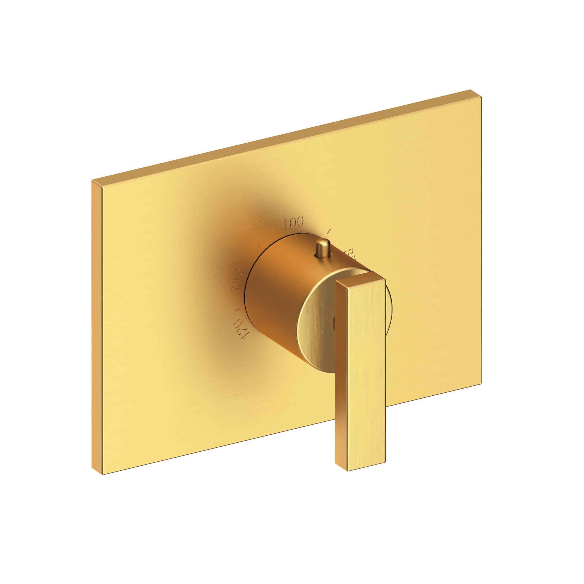 Newport Brass Secant 3/4 inch Square Thermostatic Trim Plate with Handle