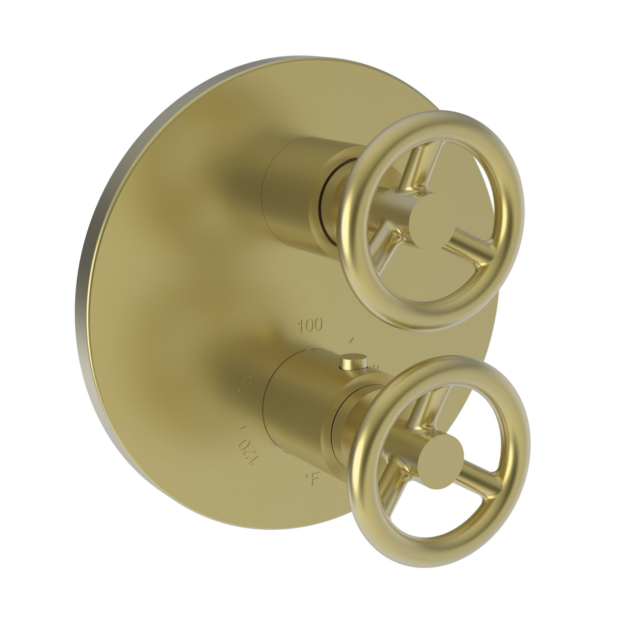 Newport Brass Slater 1/2 inch Round Thermostatic Trim Plate w/ Two Wheel Handles