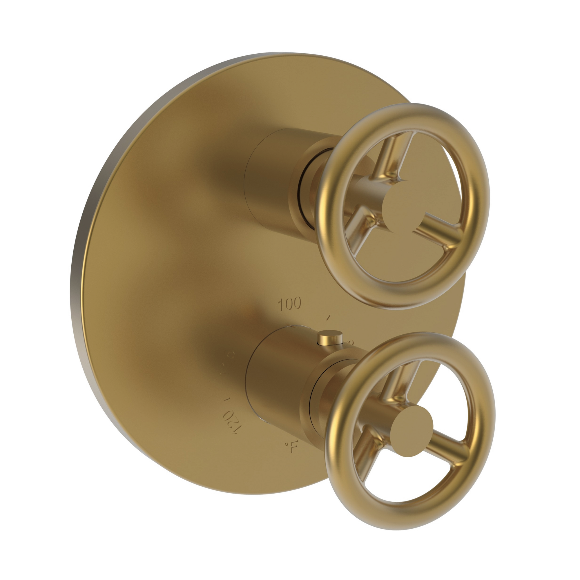 Newport Brass Slater 1/2 inch Round Thermostatic Trim Plate w/ Two Wheel Handles