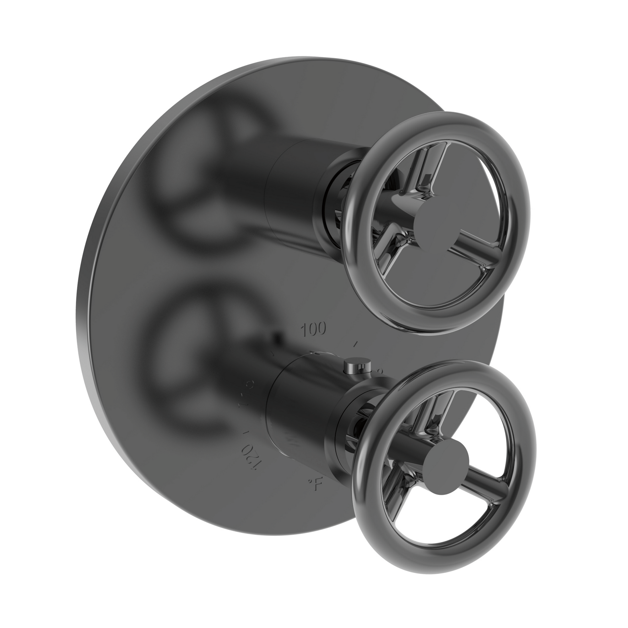 Newport Brass Slater 1/2 inch Round Thermostatic Trim Plate w/ Two Wheel Handles
