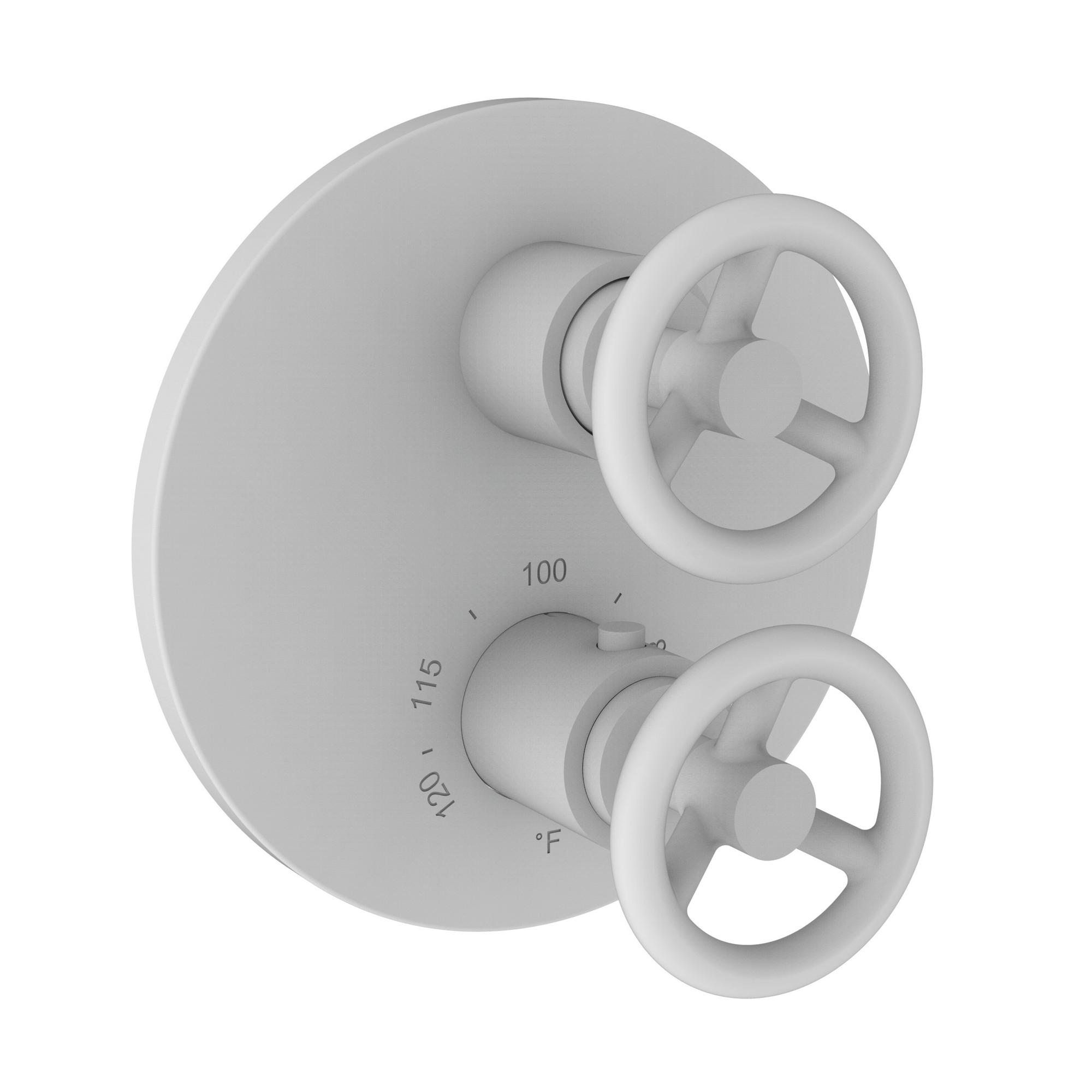 Newport Brass Slater 1/2 inch Round Thermostatic Trim Plate w/ Two Wheel Handles