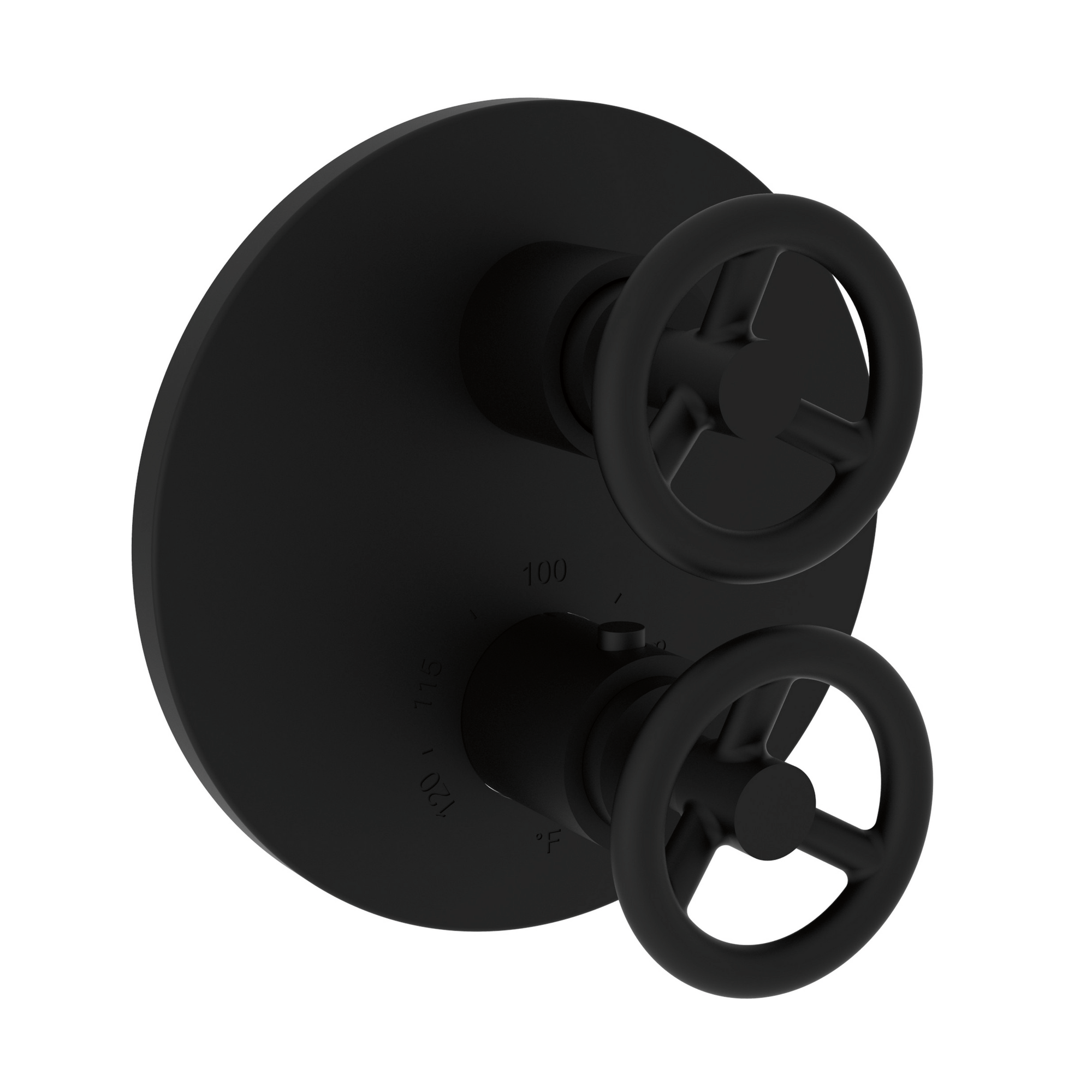 Newport Brass Slater 1/2 inch Round Thermostatic Trim Plate w/ Two Wheel Handles