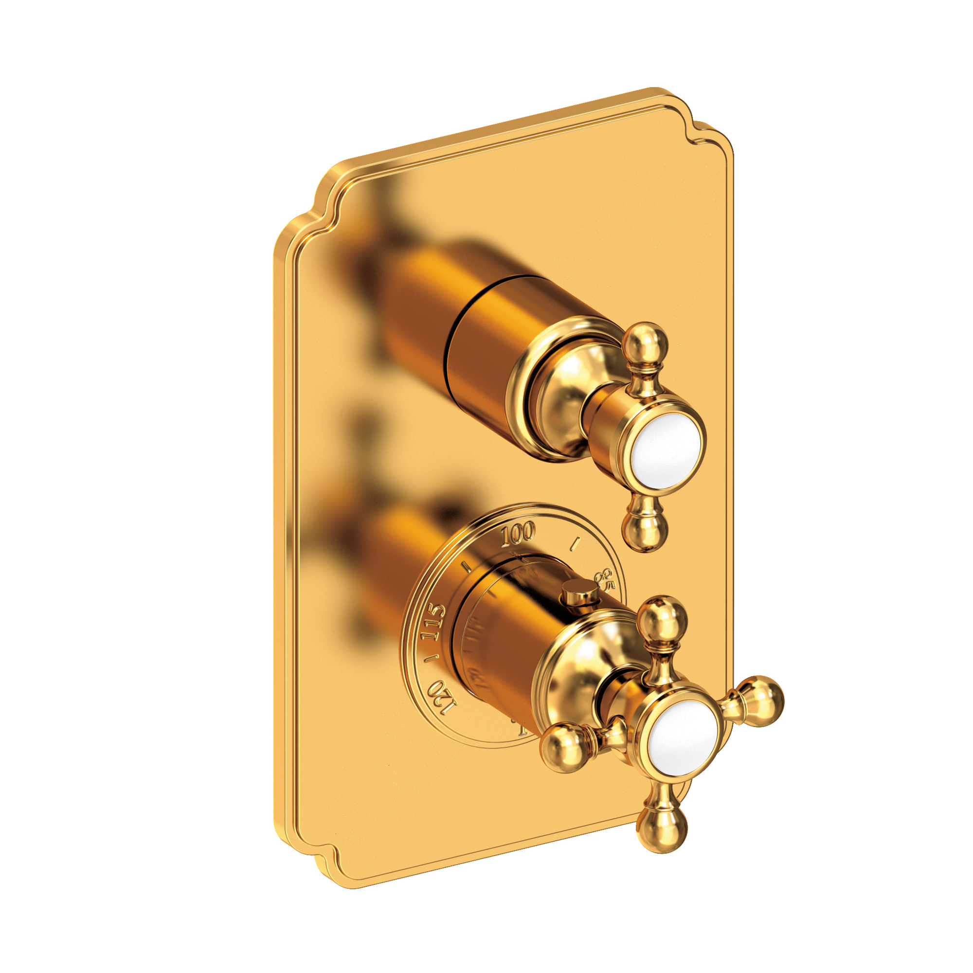 Newport Brass Astor 1/2 inch Decorative Thermostatic Trim Plate with Cross Handles