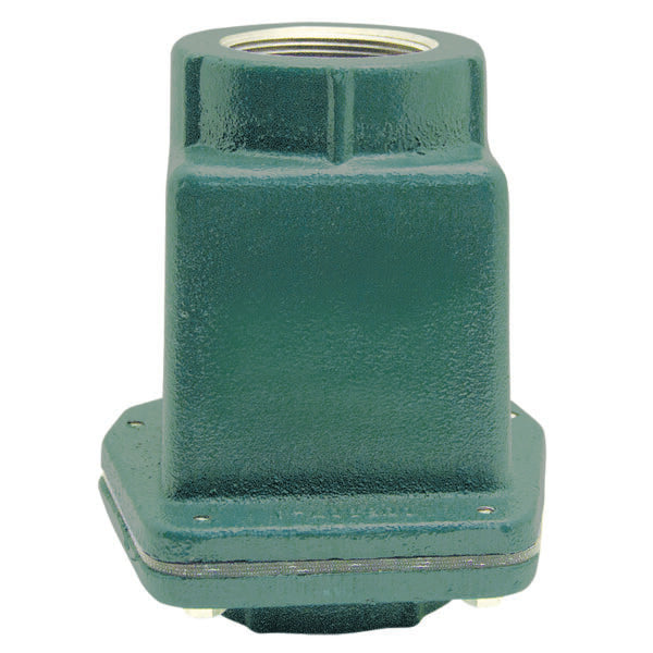 Cast iron check valve with green finish and female NPT threaded connection on top.