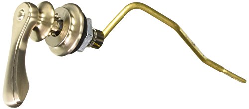 Brizo Charlotte Side Mount Flush Lever