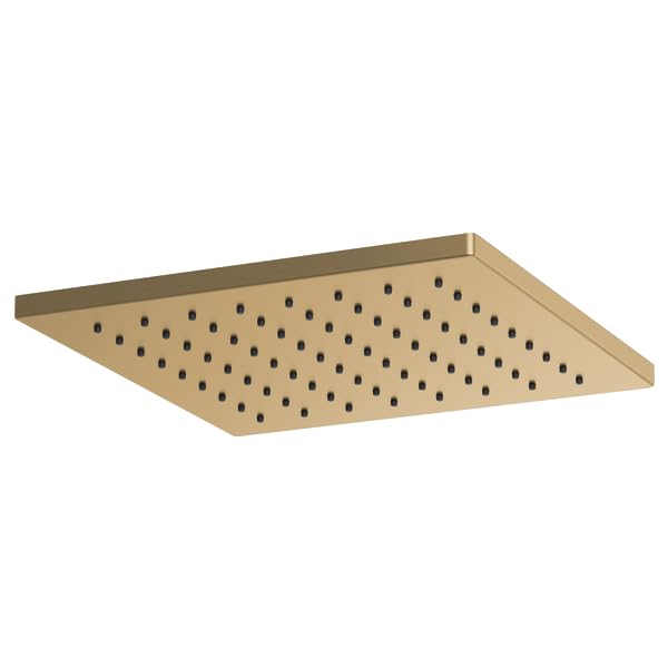 Square brass raincan shower head with multiple spray holes distributed across flat surface.