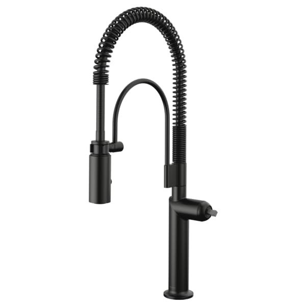 Black semi-professional kitchen faucet with flexible coiled spray hose and tall arched spout.