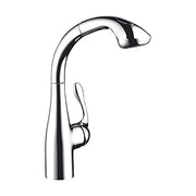 Hansgrohe 06461000 Allegro E Kitchen: Chrome