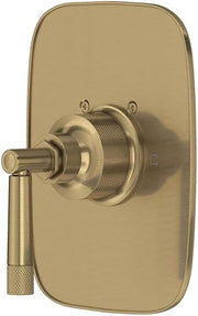 Antique gold thermostatic shower trim with rectangular backplate and single lever handle.