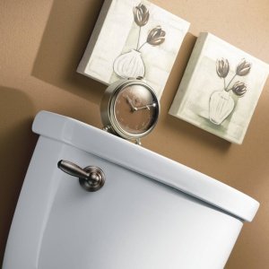 Brushed nickel toilet tank lever mounted on white porcelain tank with decorative floral artwork on wall.