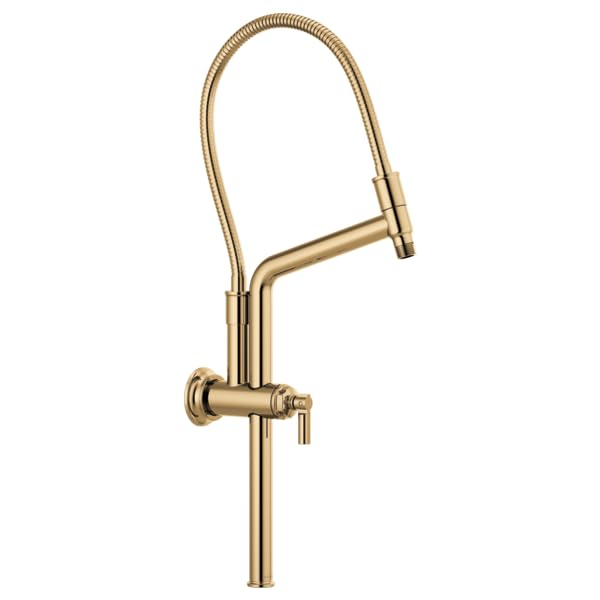 Brushed gold shower arm with flexible hose, wall-mounted flange, and curved spout with hand spray attachment.