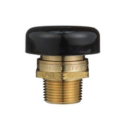 Brass vacuum relief valve with black protective cap and male NPT threaded connection.