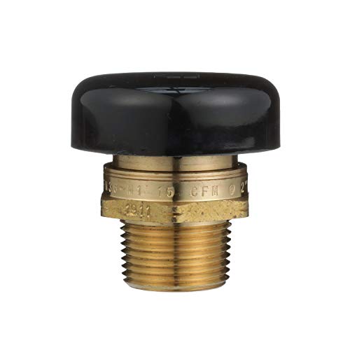Brass vacuum relief valve with black protective cap and male NPT threaded connection.