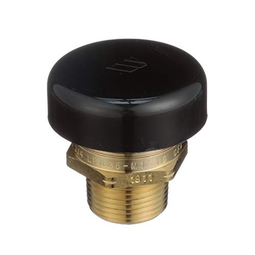 Brass vacuum relief valve with male NPT threads and black protective cap.