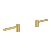 Pair of brushed gold cylindrical lever handles with horizontal arms and mounting posts.