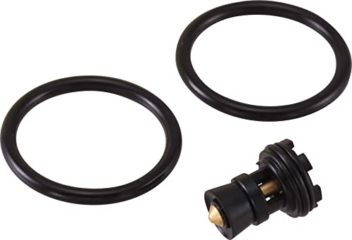 Black rubber O-rings and brass diverter valve assembly with threaded connector.
