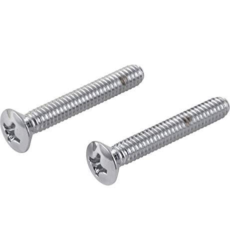 Two chrome-plated screws with Phillips-head countersunk tops and threaded shafts.