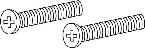 Two chrome machine screws with Phillips head and threaded shafts.