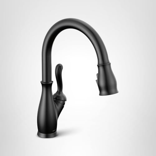 Matte black pull-down kitchen faucet with single handle and curved spout against white background.
