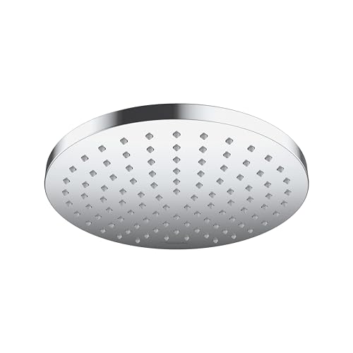Chrome round shower head with multiple small spray jets distributed across flat circular face.