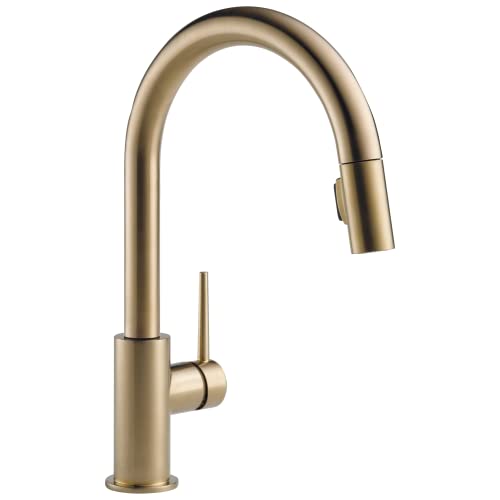 Champagne bronze single-handle kitchen faucet with curved spout and pull-down spray head.
