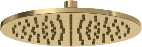 Antique gold round showerhead with evenly spaced spray holes across flat circular face.