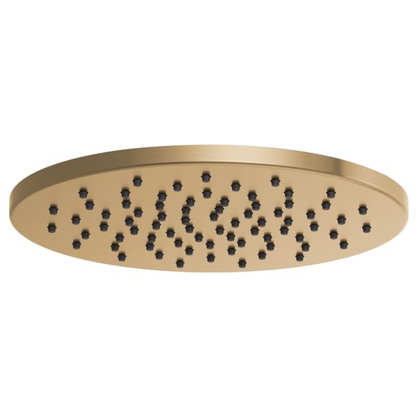Round brass raincan shower head with multiple spray jets across flat surface.
