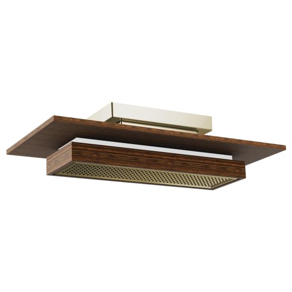 Rectangular raincan shower head with dark wood surround, integrated LED lighting strip, and perforated brass spray face.
