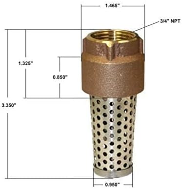 Merrill 710 Series 3/4 in. Brass Foot Valve - FVNL75