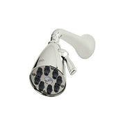 Polished nickel 4-inch showerhead with teardrop shape, multiple spray nozzles, and adjustable arm mount.