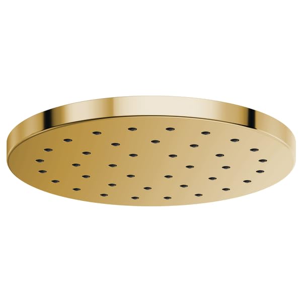 Round brass shower head with multiple spray holes evenly distributed across flat surface.