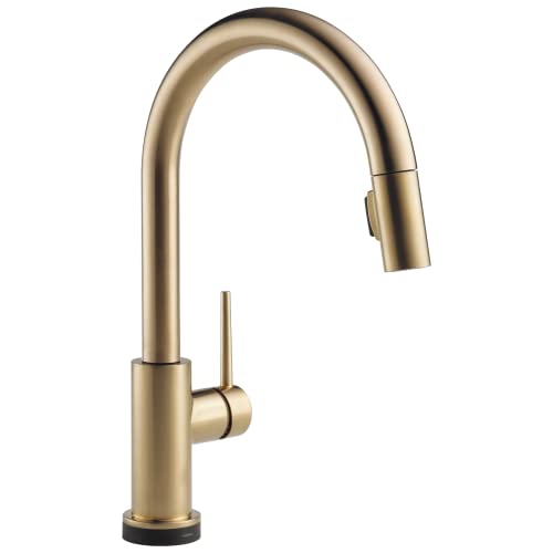 Delta Trinsic VoiceIQ Single-Handle Pull-Down Kitchen Faucet with Touch2O Technology