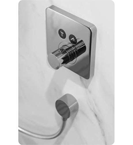 Brushed nickel wall-mounted shower outlet with two control knobs and connected hose attachment.
