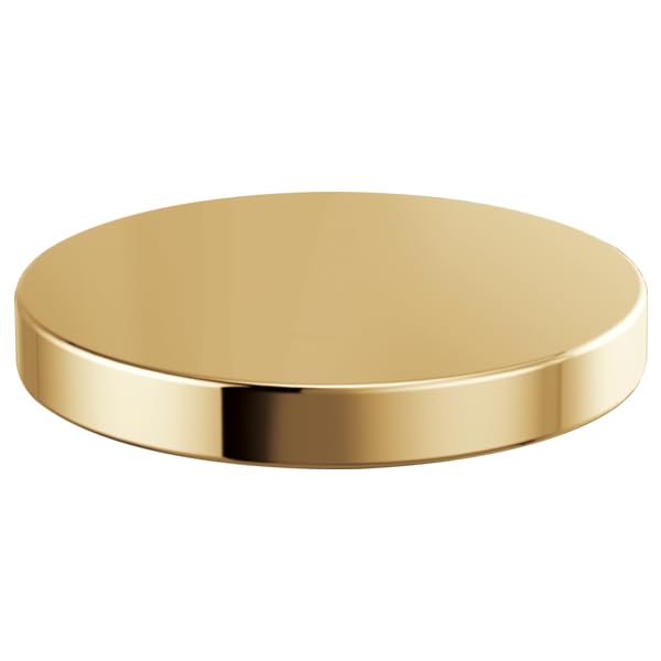 Polished gold circular hole cover with flat top and cylindrical rim.