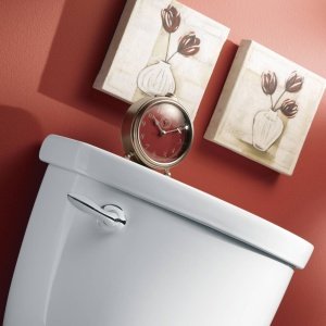 Brushed nickel toilet tank lever mounted on white porcelain tank against coral wall.