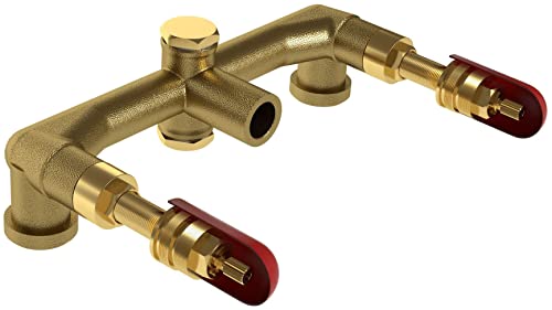 Brass wall-mount rough-in valve with two red handle cartridges, mounting caps, and curved inlet/outlet ports.