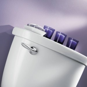 Brushed nickel toilet tank lever with purple accents mounted on white ceramic tank.