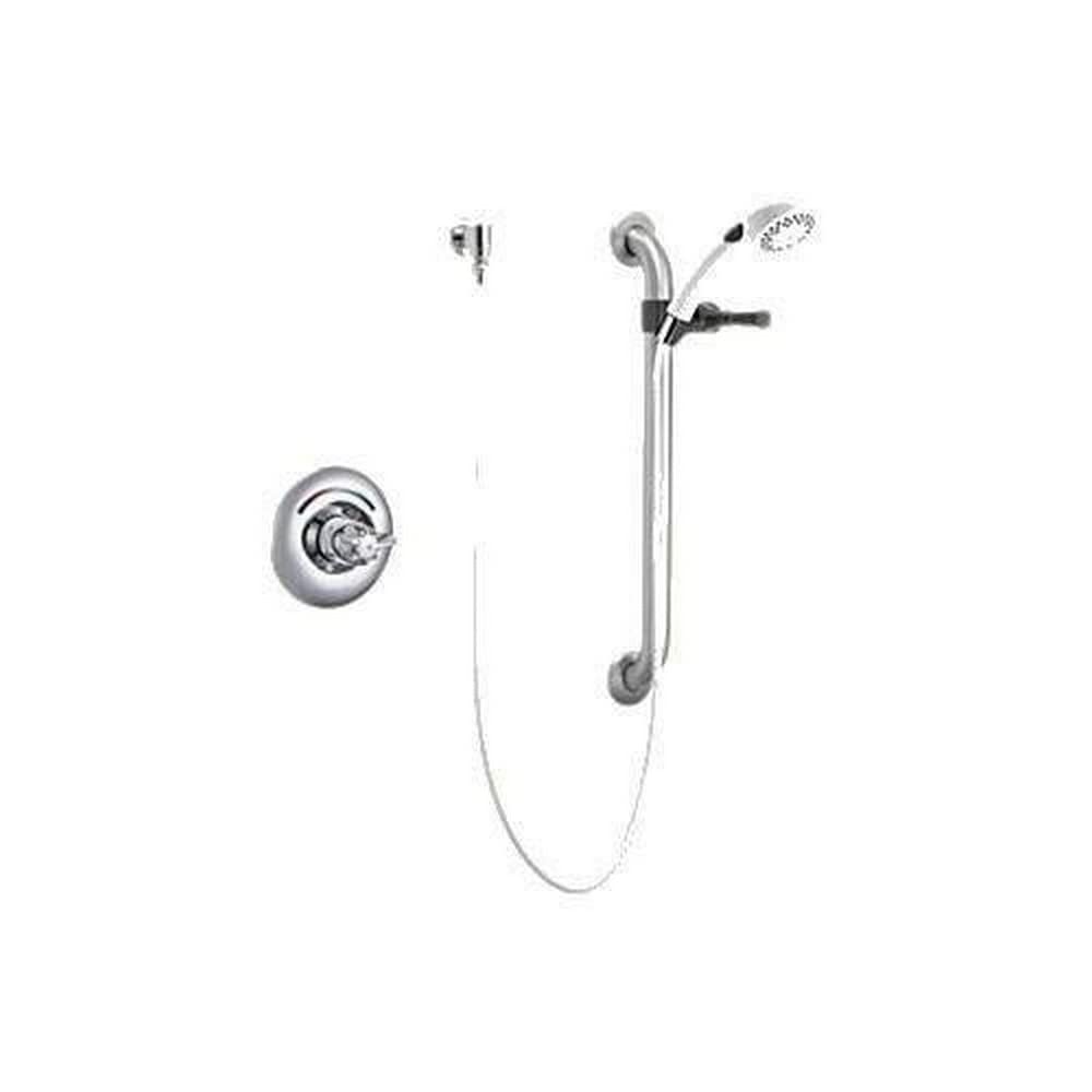 Chrome single-handle shower trim with round valve, handheld showerhead, wall-mounted arm, and supply line.