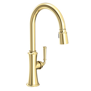 Newport Brass Stripling 1.8 GPM Single Hole Pull Down Kitchen Faucet