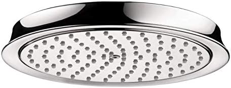 Chrome Raindance Classic shower head with perforated spray face and polished chrome trim ring, overhead view.