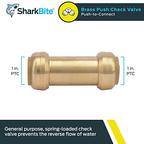 Brass push-to-connect check valve with 1 inch connections on both ends.